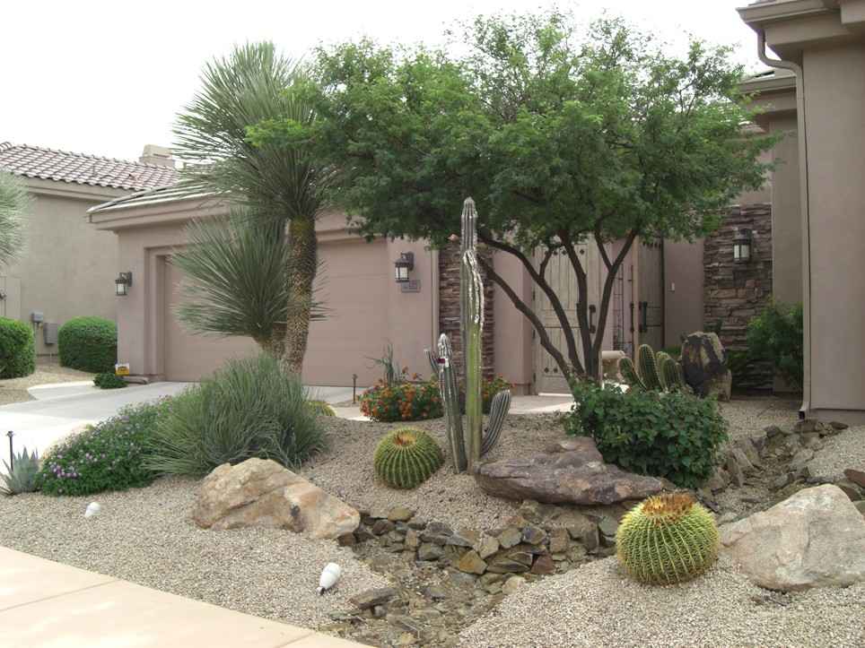 Best Landscaping Services In Las Vegas Nv 702 325 2144 Photo To Enlarge